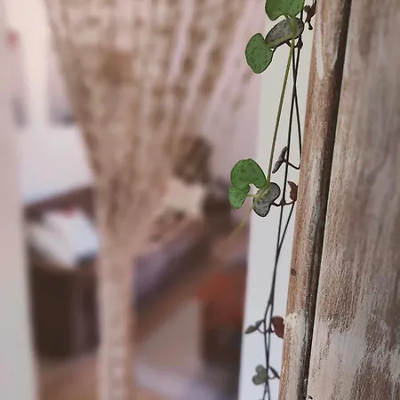 Casa Adriana Lejlighed *
